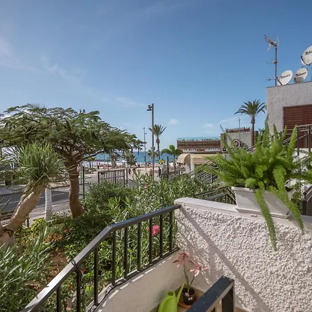 The Little Jewel With Ocean View - Americas * Playa de las Américas